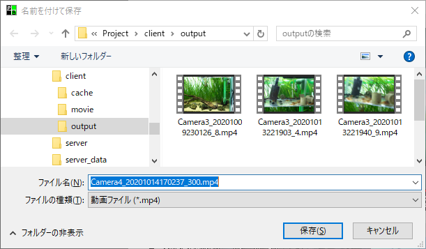 p_videoplayer_0061